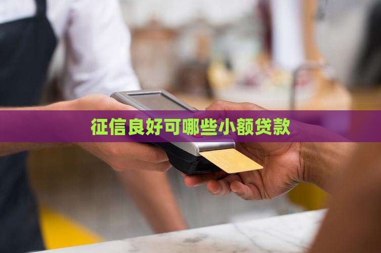 征信良好可哪些小额贷款