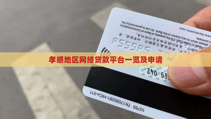 孝感地区网络贷款平台一览及申请
