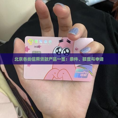 北京各类信用贷款产品一览：条件、额度与申请