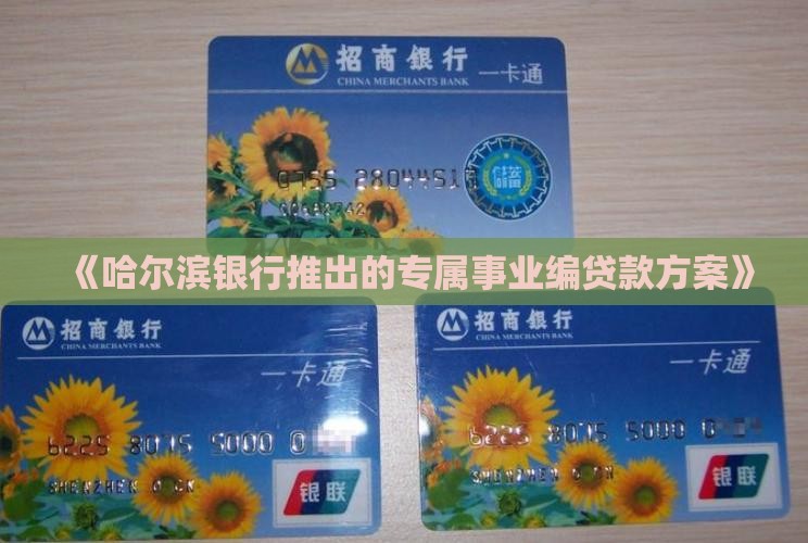 《哈尔滨银行推出的专属事业编贷款方案》