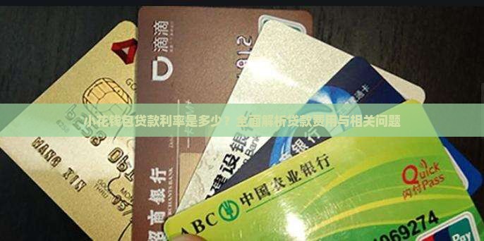 小花钱包贷款利率是多少？全面解析贷款费用与相关问题