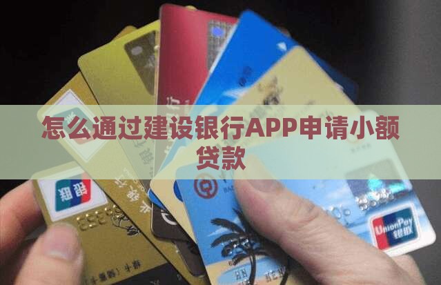 怎么通过建设银行APP申请小额贷款