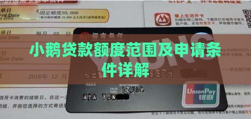 小鹅贷款额度范围及申请条件详解
