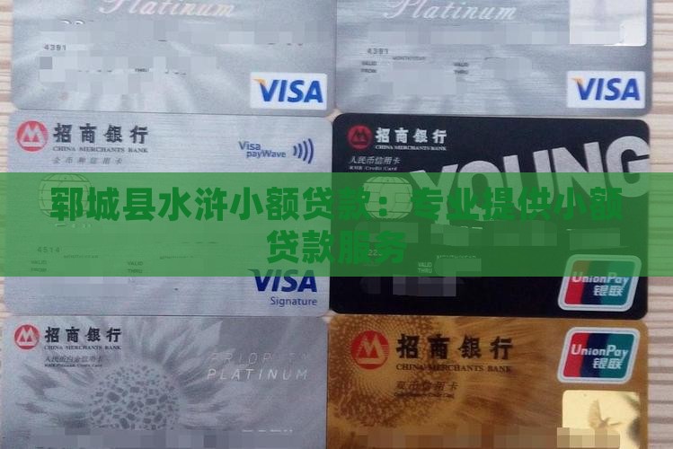 郓城县水浒小额贷款：专业提供小额贷款服务