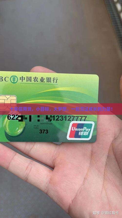 信用贷贷款10年