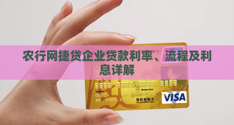 农行网捷贷企业贷款