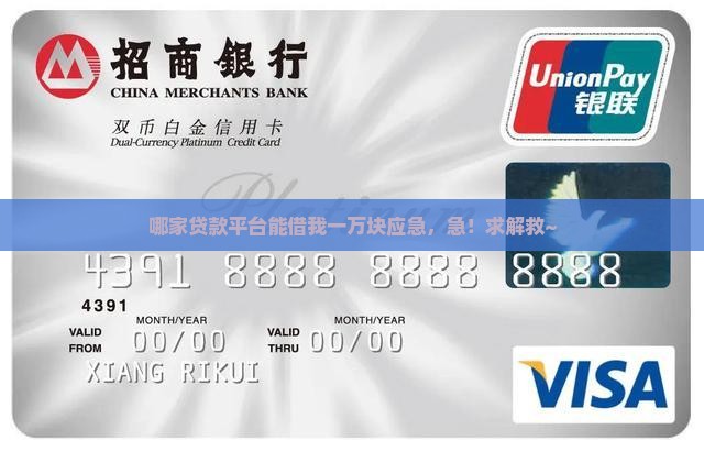 什么贷款平台可以贷一万