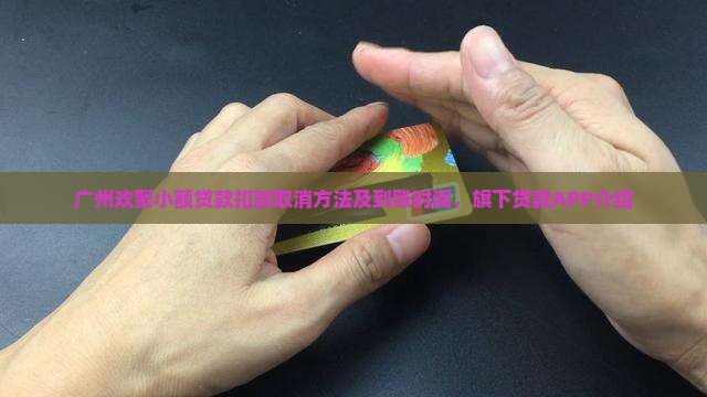 广州欢聚小额贷款扣款