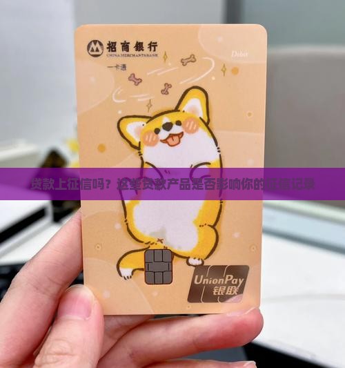 开心龙贷款上征信吗