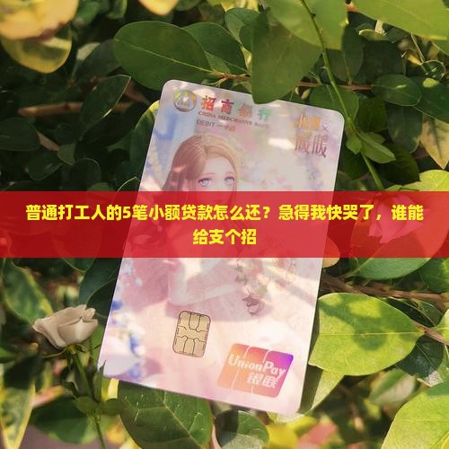 小额贷款太多怎样还款呢