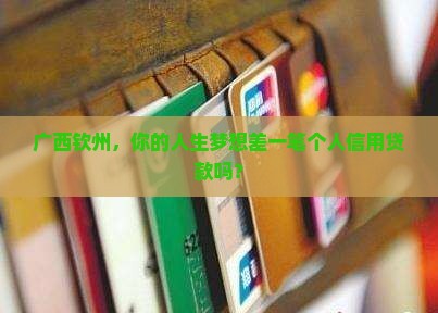 广西钦州个人信用贷款