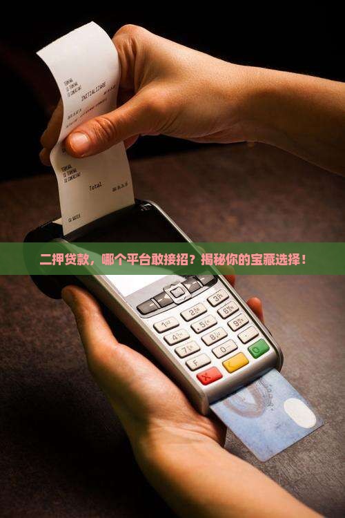哪个平台接受二押贷款