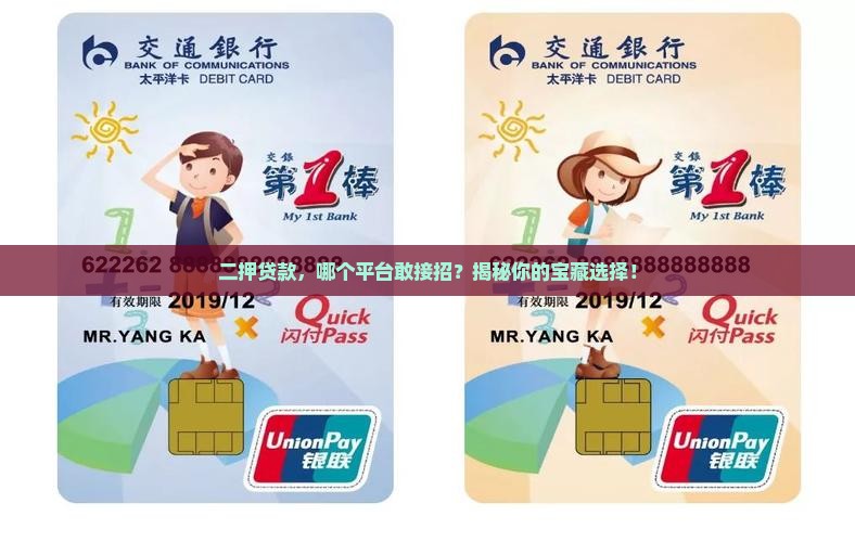 哪个平台接受二押贷款