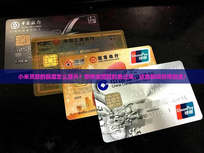 小米贷款的额定怎么提升