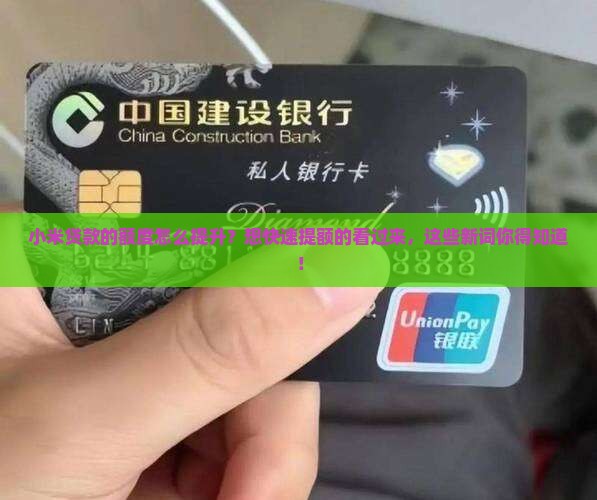 小米贷款的额定怎么提升