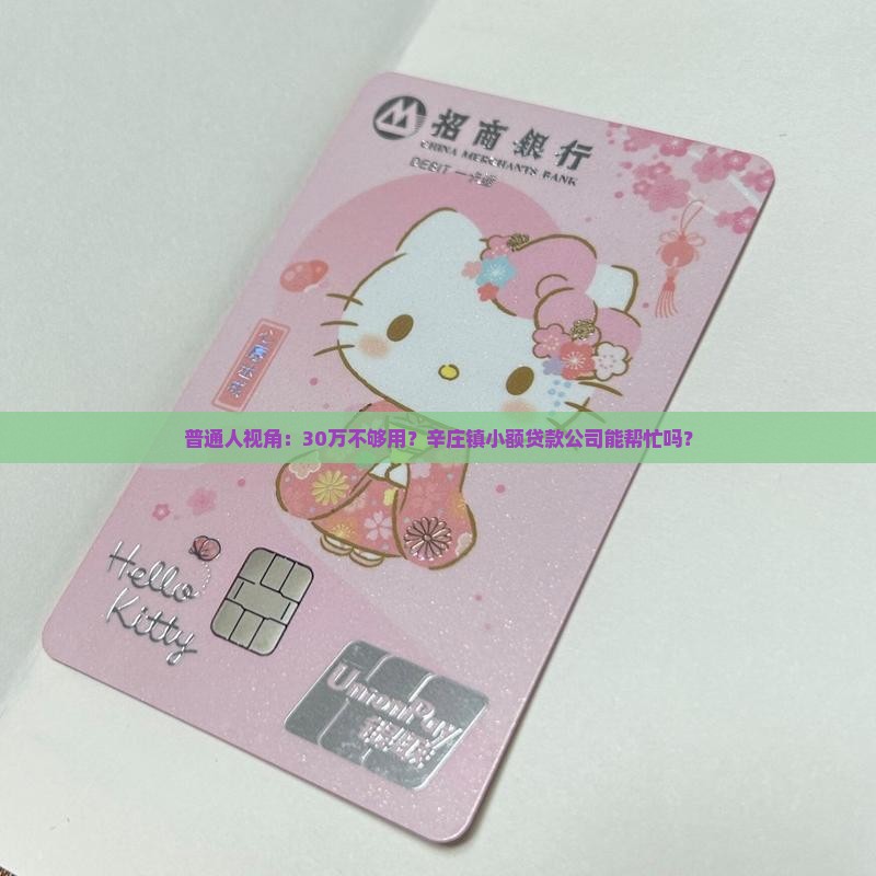 辛庄镇抵押小额贷款公司