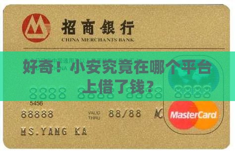 小安欠款是哪个平台的贷款