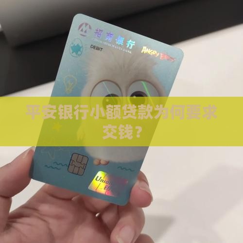 平安银行小额贷款让交钱