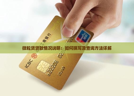 微粒贷贷款情况说明