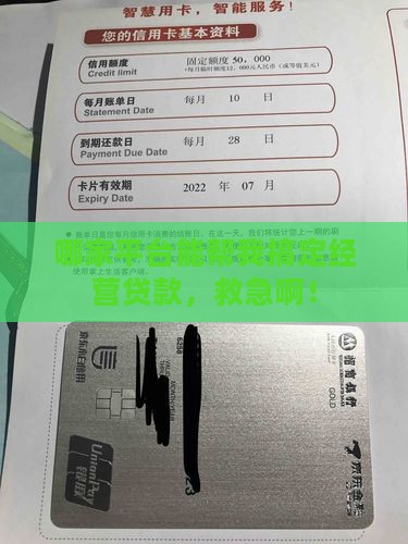 哪个平台可以做经营贷款