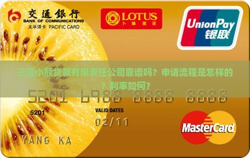 三亚小额贷款有限责任公司