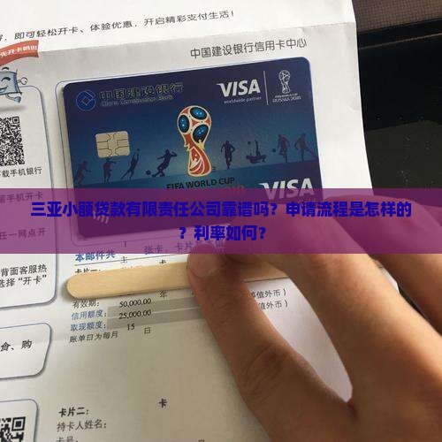 三亚小额贷款有限责任公司