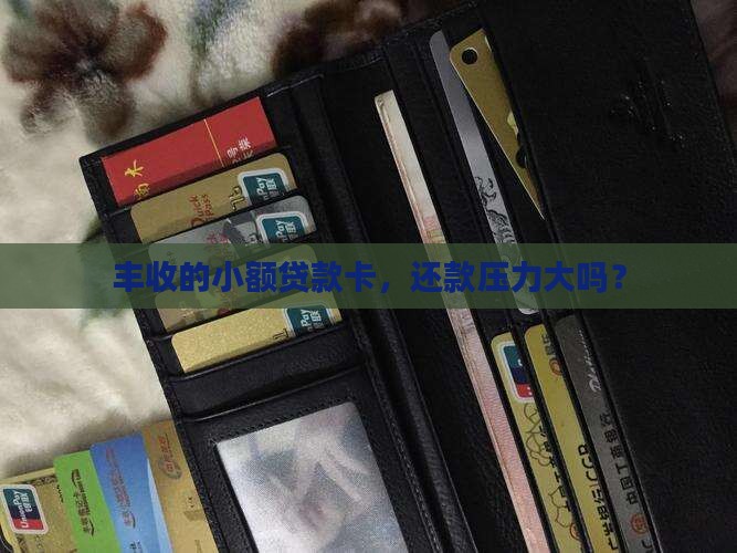 丰收小额贷款卡还款 丰收小额贷款卡还款