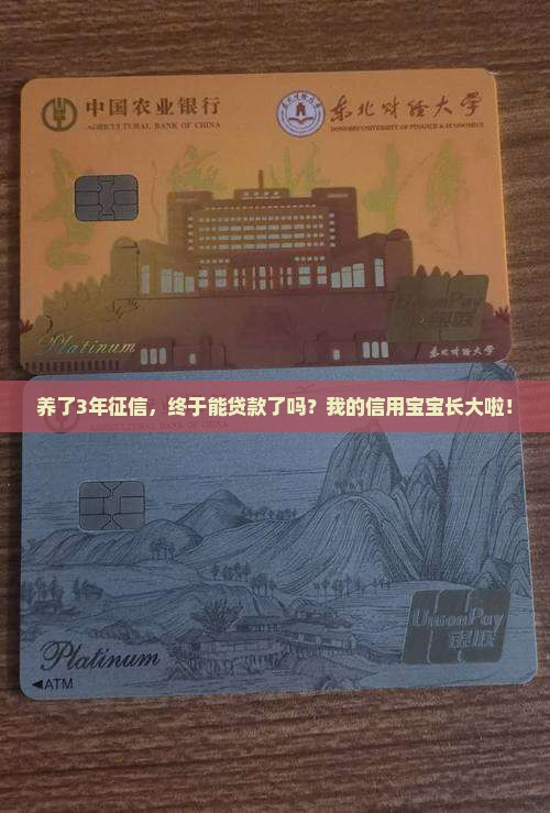 征信养了3年能贷款吗