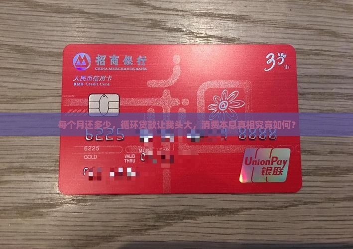 循环贷款消费本息多少