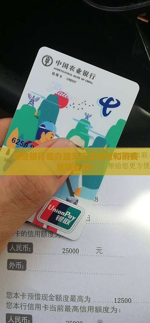 什么银行能办业务贷款