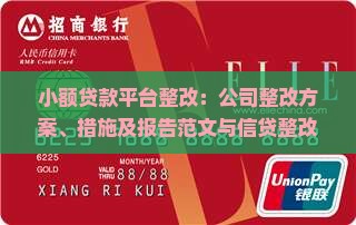 小额贷款平台整改