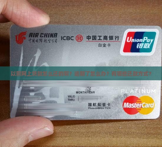 以前网上贷款怎么还的啊