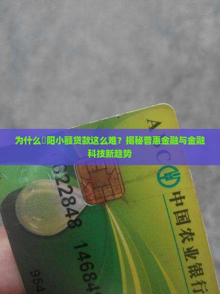 卲阳小额贷款