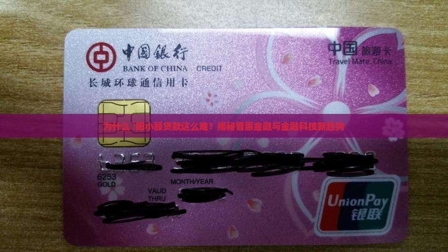 卲阳小额贷款