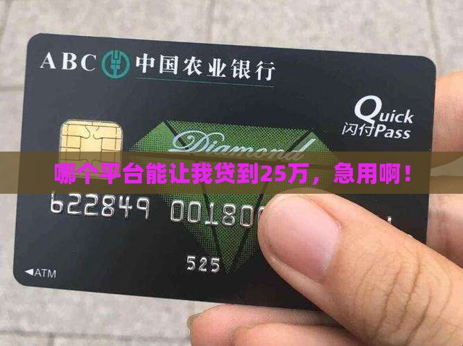 贷款25万在哪个平台可以贷