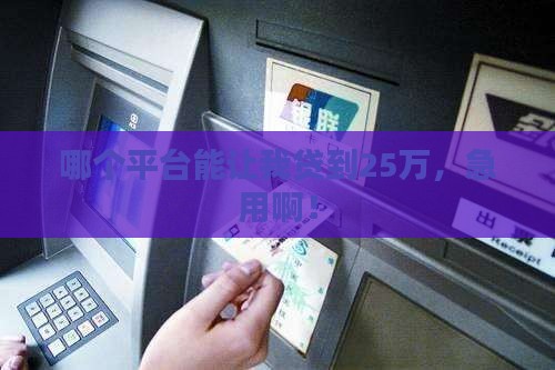 贷款25万在哪个平台可以贷