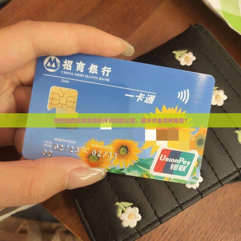 可以抵押车辆的贷款公司