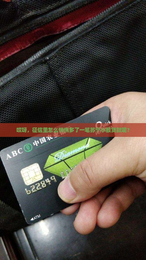征信上有苏宁小额贷款