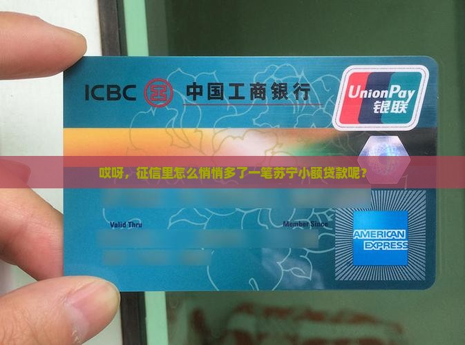 征信上有苏宁小额贷款