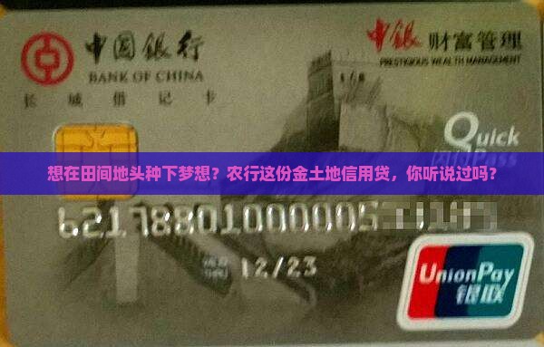 农行信用贷款叫什么名字