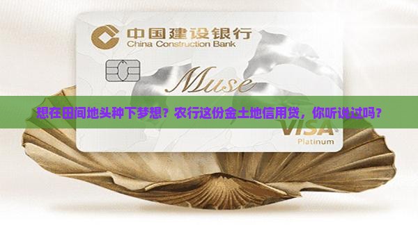 农行信用贷款叫什么名字