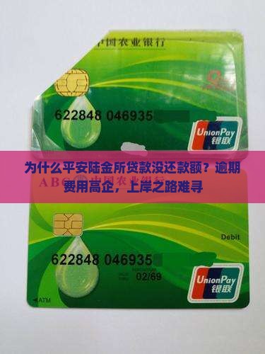 平安陆金所贷款没还款额