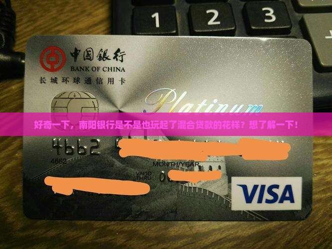 南阳银行有混合贷款吗