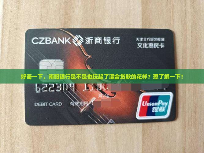 南阳银行有混合贷款吗