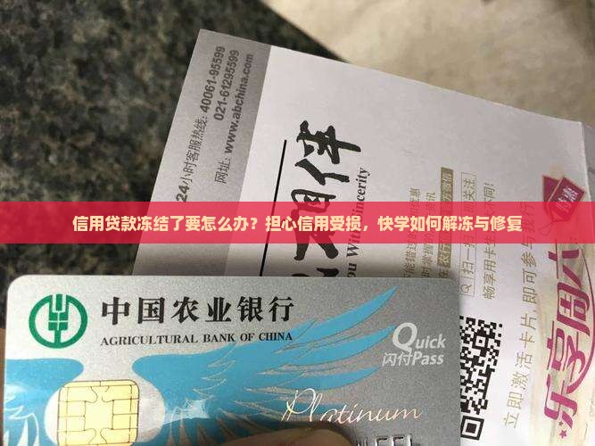 信用贷款冻结了要怎么办
