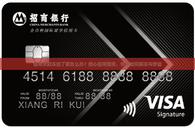 信用贷款冻结了要怎么办