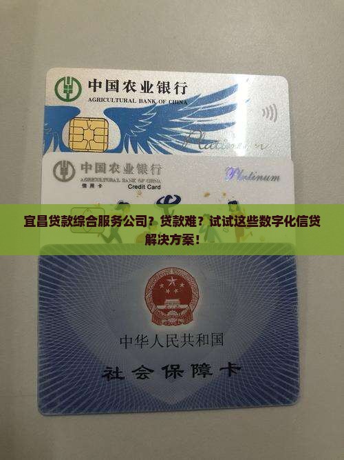 宜昌贷款综合服务公司