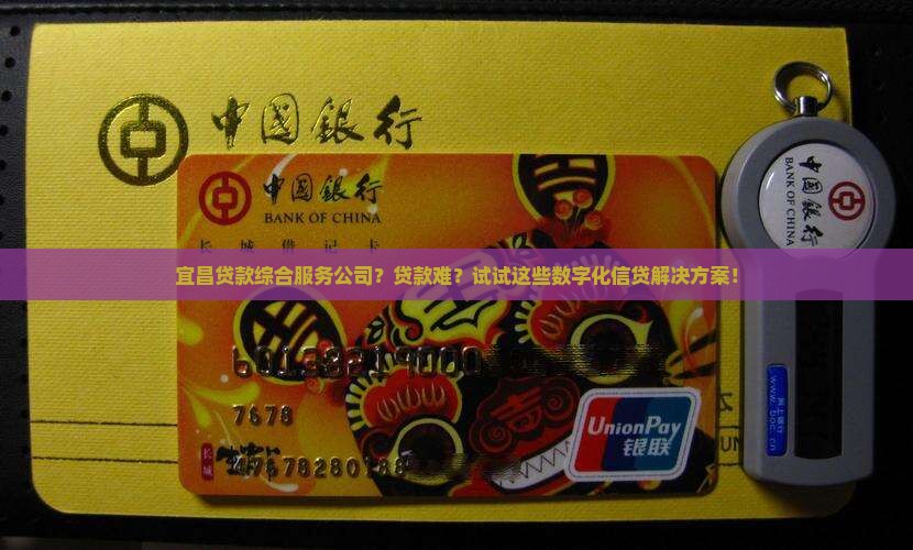 宜昌贷款综合服务公司