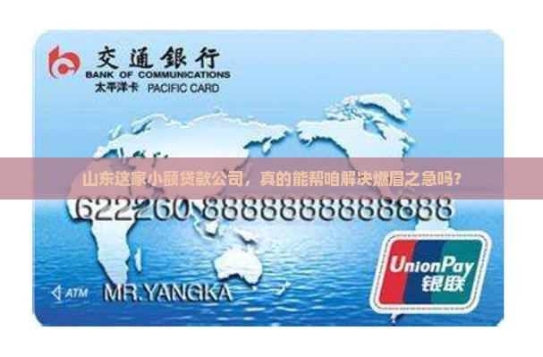 山东新兴小额贷款