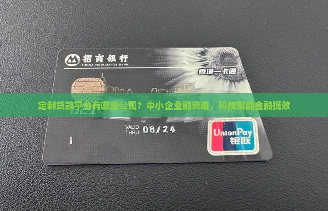 定制贷款平台有哪些公司